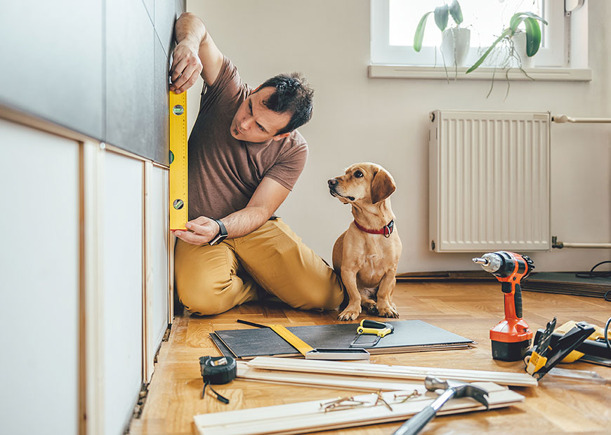 image of dog with man measuring wall