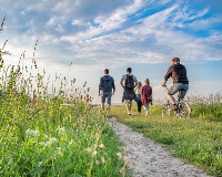 image of group of people walking through meadow
